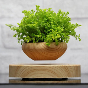 PREMIUM MAGNETIC LEVITATING PLANTER